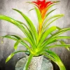 Bromeliad Pot Diamond Painting