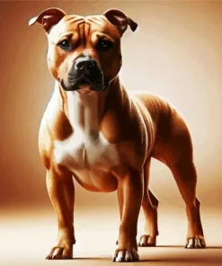 Brown Amstaff Dog Diamond Painting
