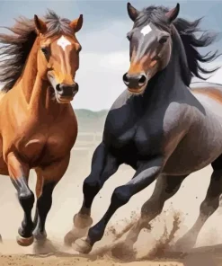 Brown And Black Horses Diamond Painting