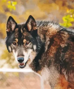 Brown And Black Wolf Diamond Painting