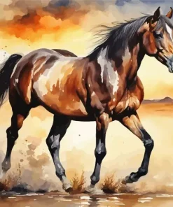 Brown Arabian Horse Diamond Painting