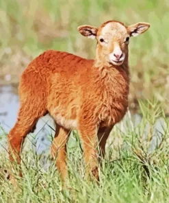 Brown Baby Lamb Diamond Painting
