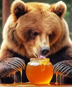 Brown Bear Eating Honey Diamond Painting
