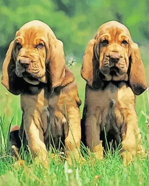 brown bloodhound puppy Diamond By Numbers Brown Bloodhound Puppy Diamond Painting