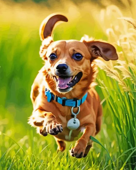brown chiweenie running Diamond By Numbers Brown Chiweenie Running Diamond Painting