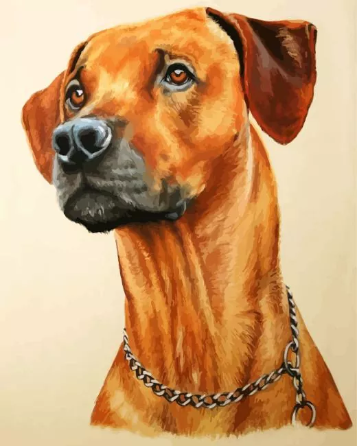 brown dog face Diamond Paints Brown Dog Face Diamond Painting