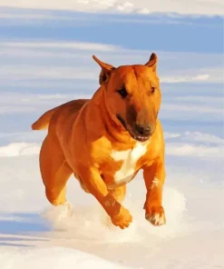 Brown English Bull Terrier Diamond Painting