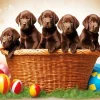 Brown English Labrador Puppies Diamond Painting