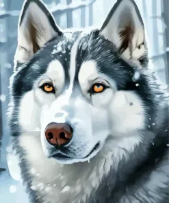 Brown Eyes Husky Diamond Painting