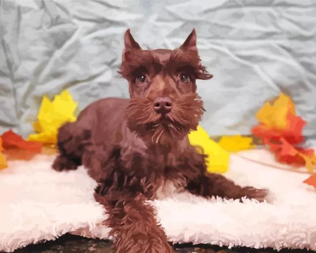 brown mini schnauzer Diamond Paints Brown Mini Schnauzer Diamond Painting