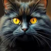 Cool Fluffy Black Cat Art Diamond Painting