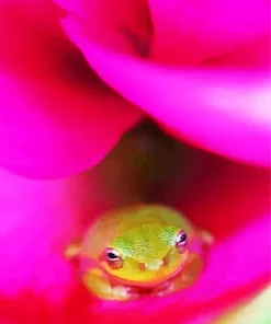 Frog In Flower Diamond Painting