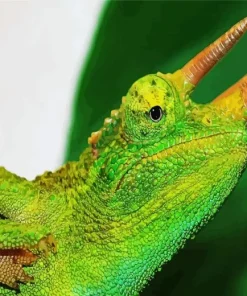 Jacksons Chameleon Diamond Painting