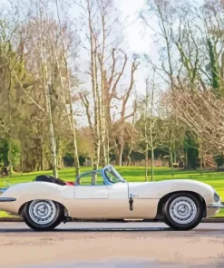 Jaguar XKSS Car Diamond Painting