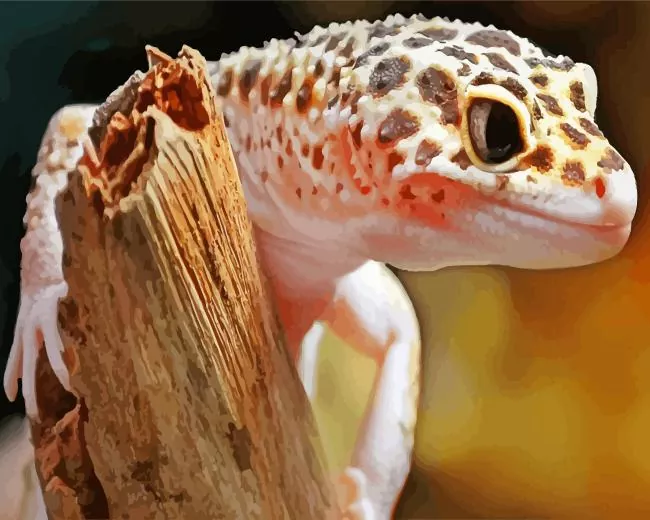 leopard gecko Diamond Paintings Leopard Gecko Diamond Painting
